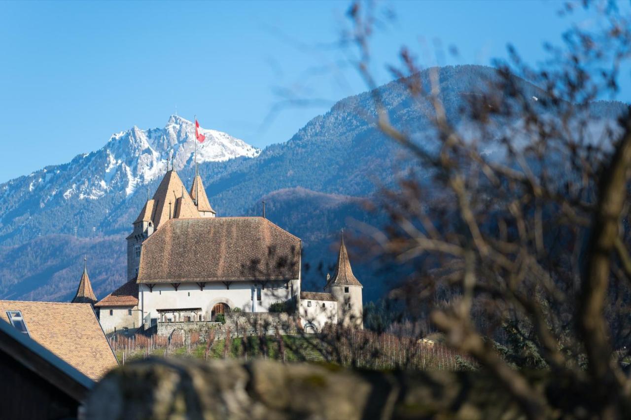 Nonanteneuf Appart Hotel Aigle - Contactless Check-In Exterior foto